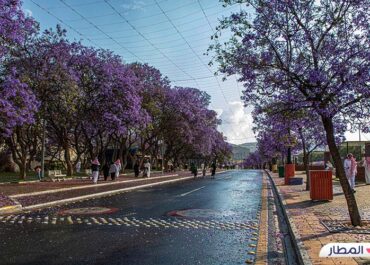 لماذا تعتبر السياحة في ابها من اهم معالم السياحة فى السعودية