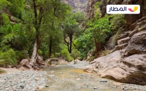 The most prominent Wellness tourism destinations in Saudi Arabia