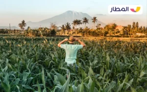 Know the health guidelines