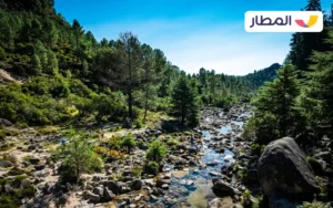 Peneda Gerês National Park in Porto 2