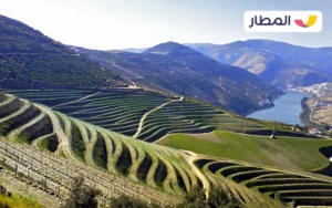 The Douro Valley in Porto 2