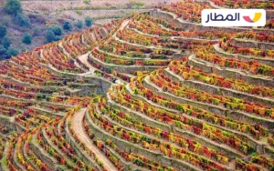The Douro Valley in Porto