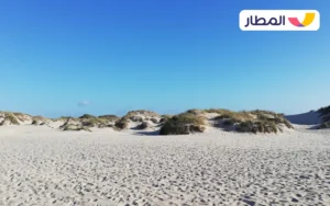 The city of Aveiro 02