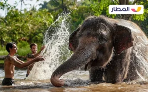 Things to do in Bali 3