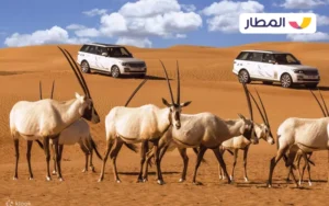 Dubai Desert Conservation Reserve